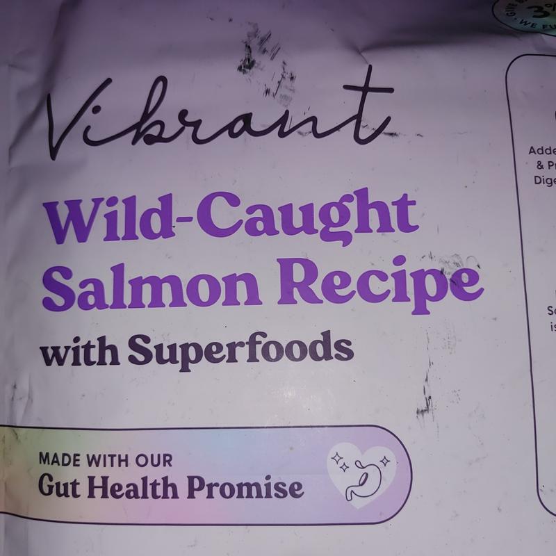 Bundle x Joy Vibrant Salmon Recipe Dry Dog Food