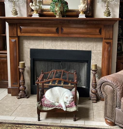 QUIKCLEAN Waterless Shampoo, 8fl oz bottle