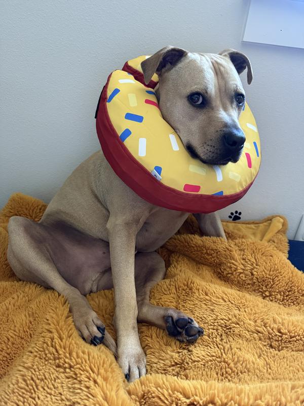 Mr. Nils is not amused.