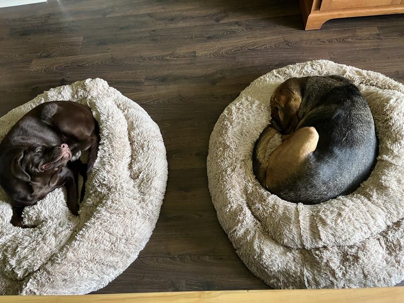 Side by side snoozers