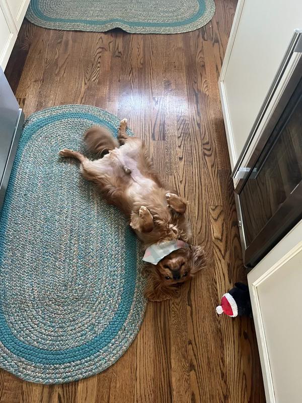 Rolling over for chicken hearts
