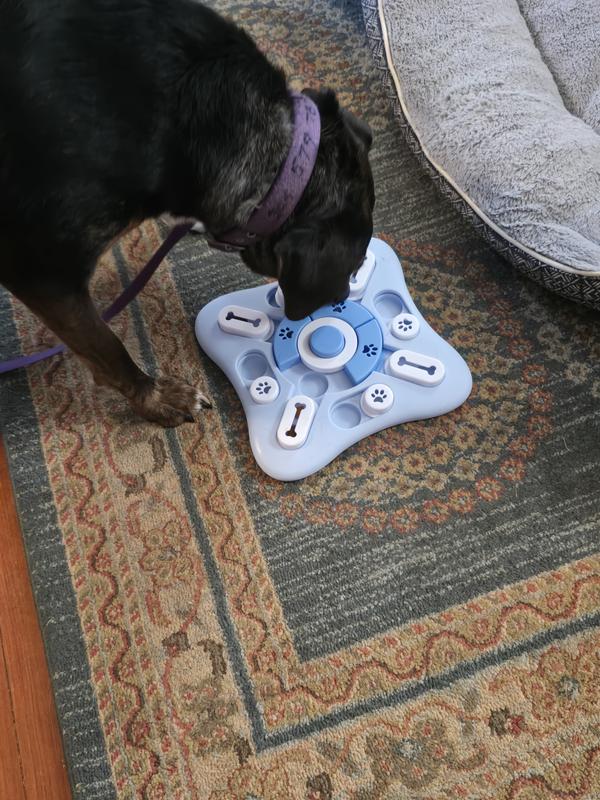 Abby enjoyed finding treats