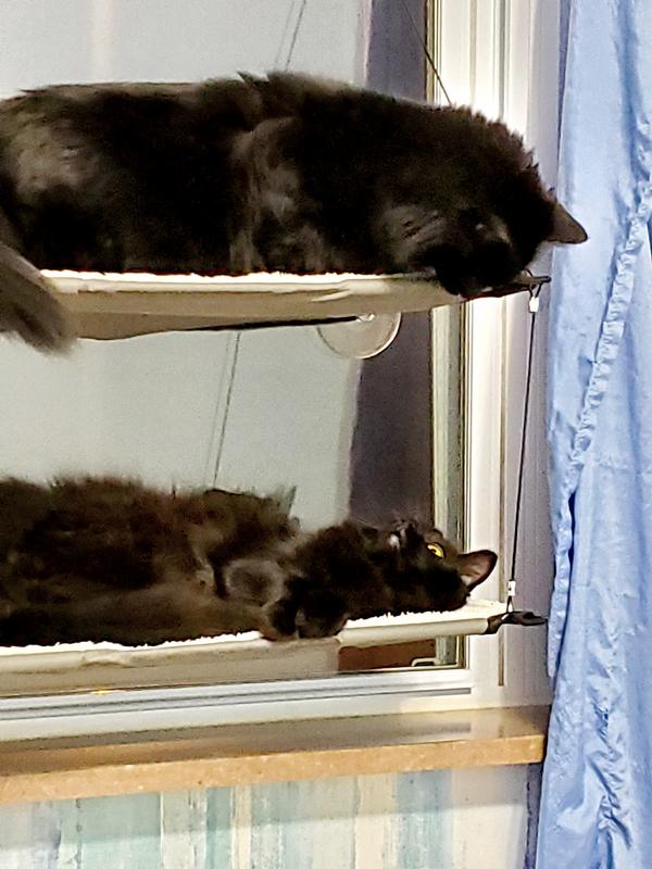 K&H PET PRODUCTS Window Double Lounger Cat Perch, Natural, 23x12in