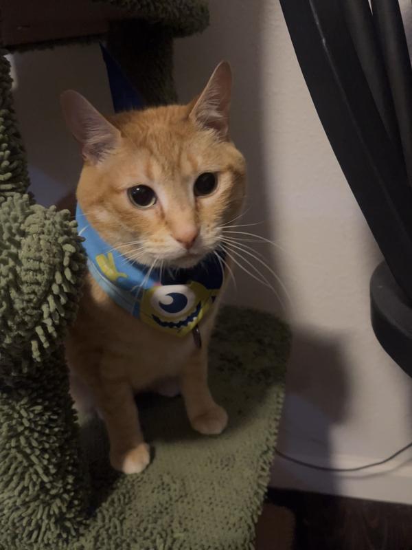 She never was a fan, had it on for less than a day