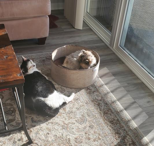 Discontinued FRISCO Felt Round Cat Pillow Bed, Gray, XSmall