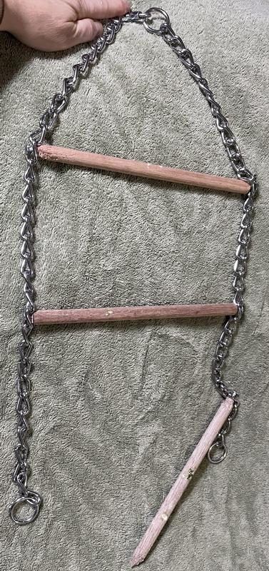 In less than 5 days Lovebirds chewed perch and released attaching screw.