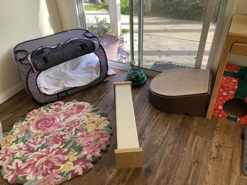 NECOICHI Portable Stress Free Cat Cage - Chewy.com