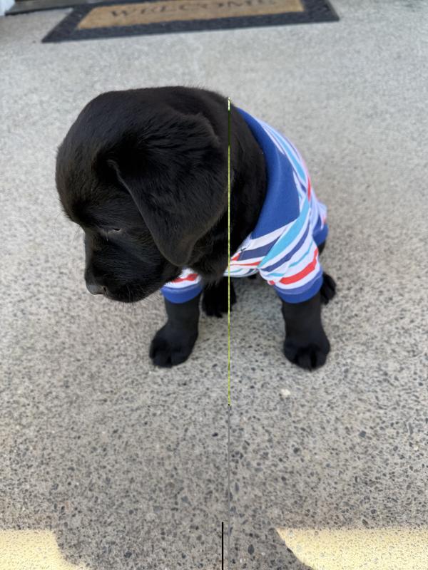 My new shirt  from granny