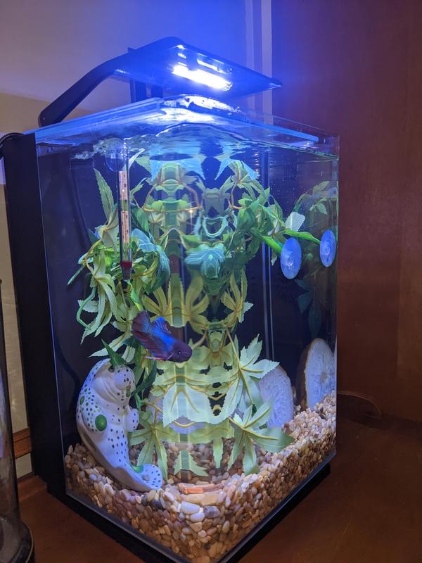 Marineland 5 gallon portrait sale