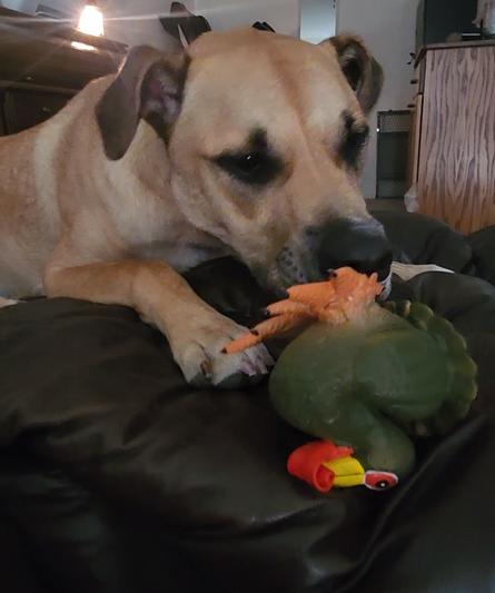 PetSafe RealTree Squeeze Meeze Bass Latex Dog Toy