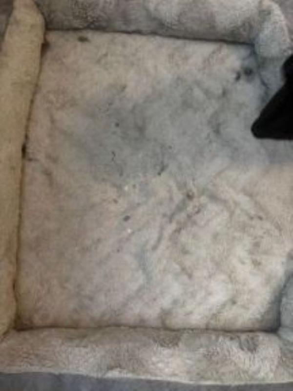 FurHaven Velvet Waves Perfect Comfort Orthopedic Sofa Cat & Dog Bed