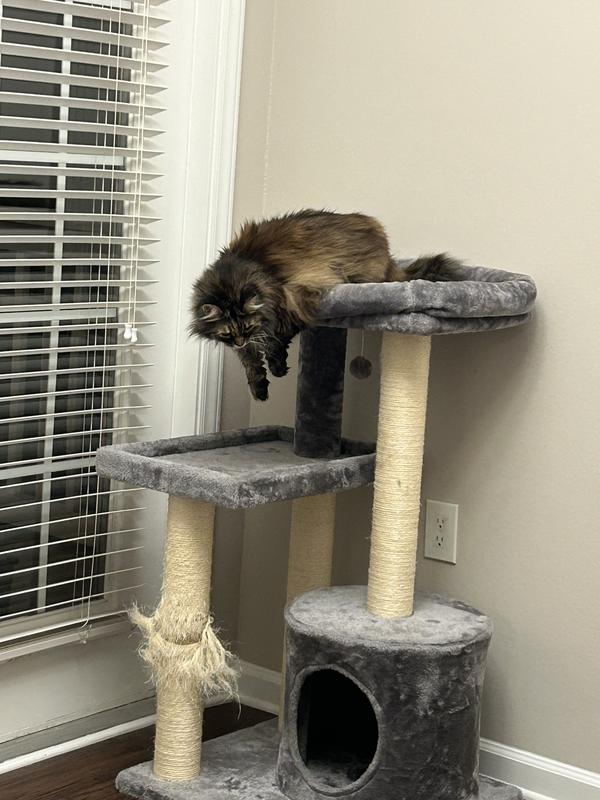 ready for action (one year later)