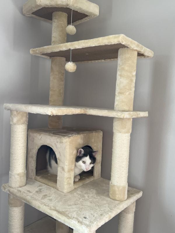 Chewy 72 hotsell inch cat tree