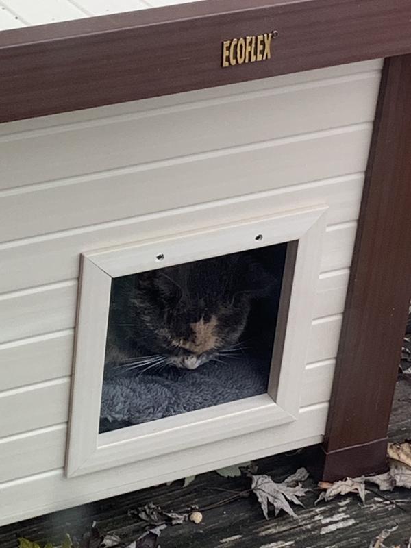 Ecoflex outdoor outlet feral cat house