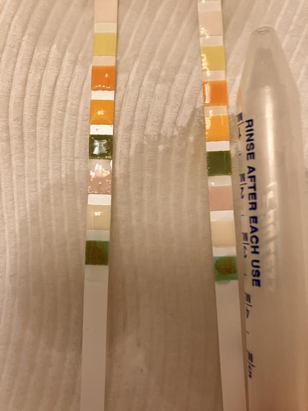 KIT4CAT Cat Urine Sample Collection Kit Urine Testing for Cats, 2lb