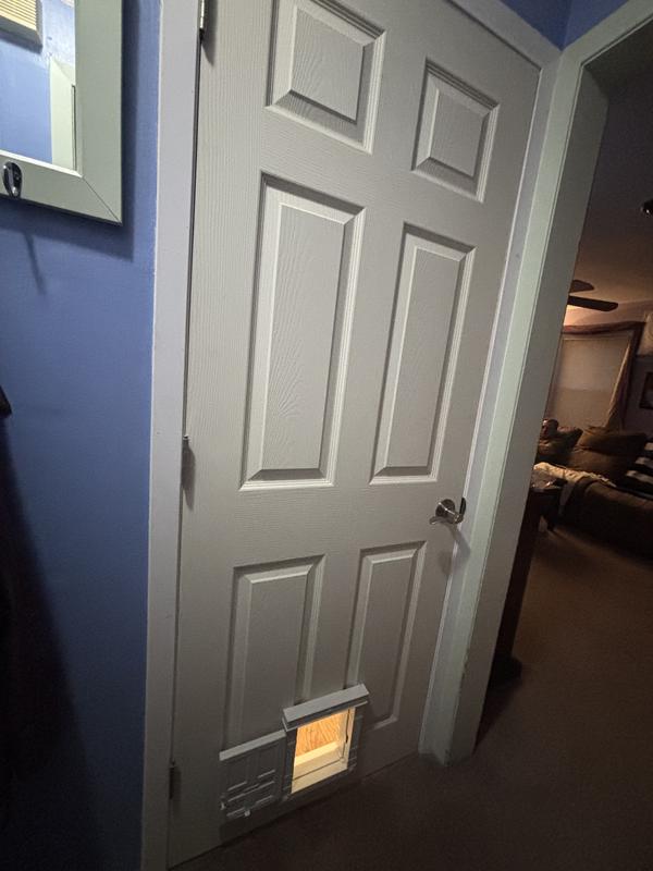 Basement door for kitties access to the potty