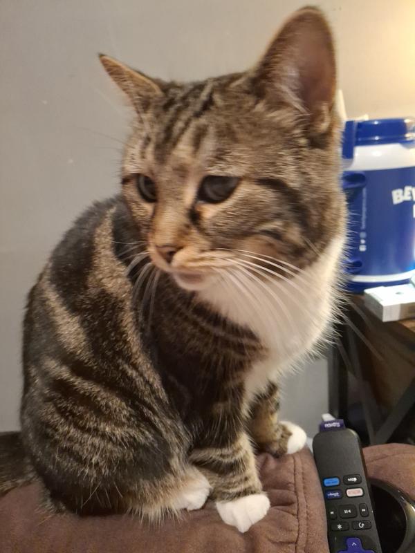 Lucy