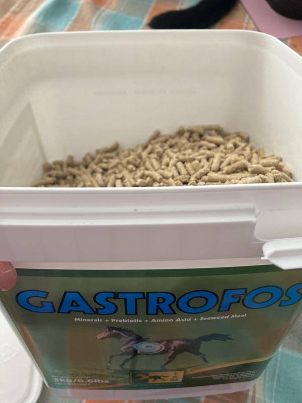 Pellets, not powder. Easy to feed and palatable.