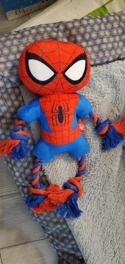 MARVEL 's Spider-Man Plush with Rope Squeaky Dog Toy 