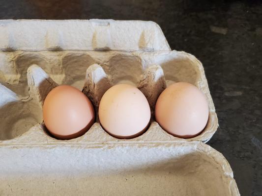 The first three eggs
