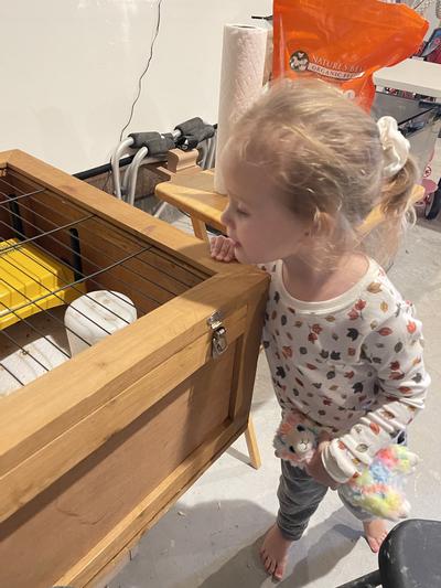 Two year old enjoying the baby chicks without the danger from a ceramic lamp