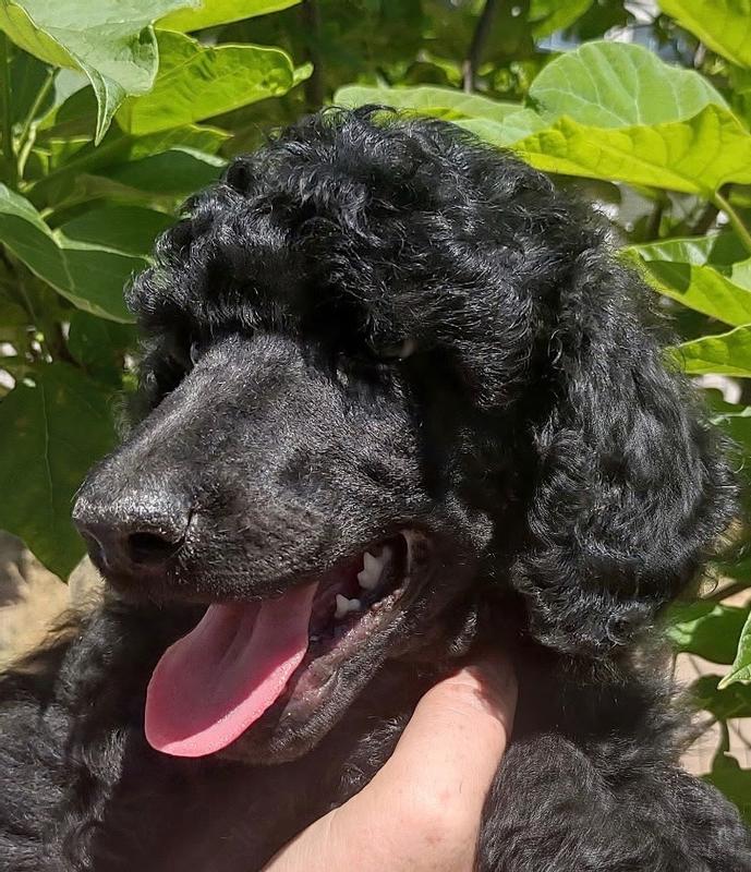 2+ months old- we couldn't resist this purchase!