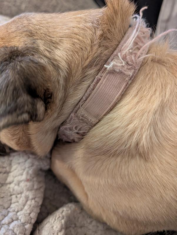 Spot where the contact info used to be