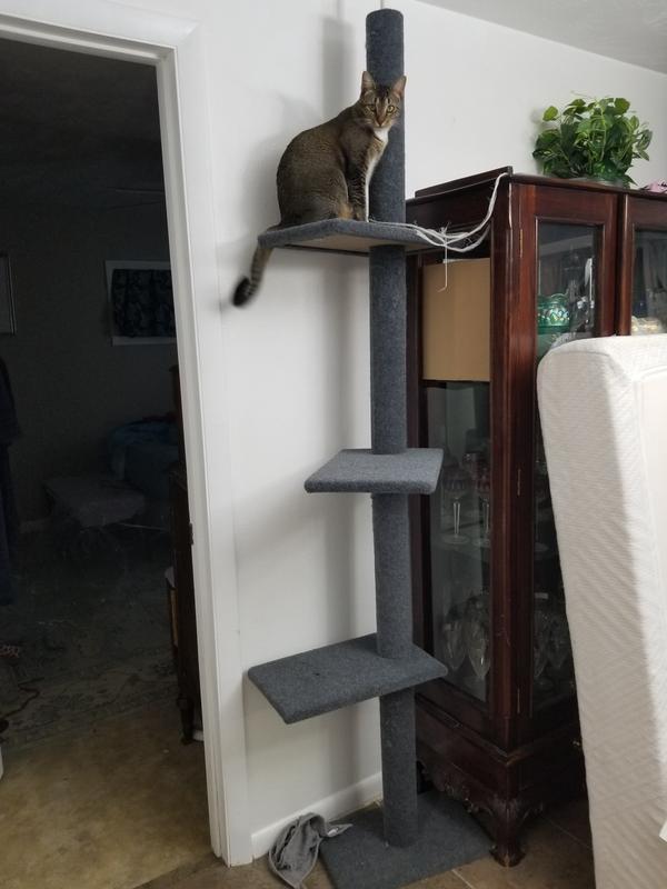CAT CRAFT FloortoCeiling Carpet Cat Tree, Grey