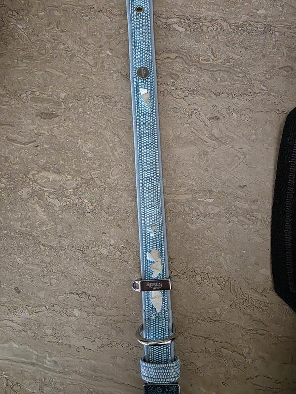 The white is where the outer cover is just peeling away from the inner core