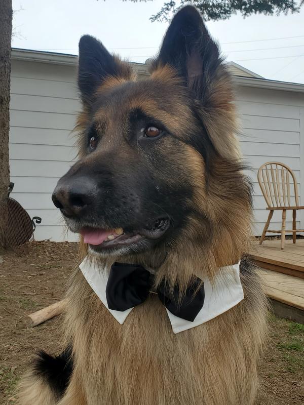 Headshot for his dating profile