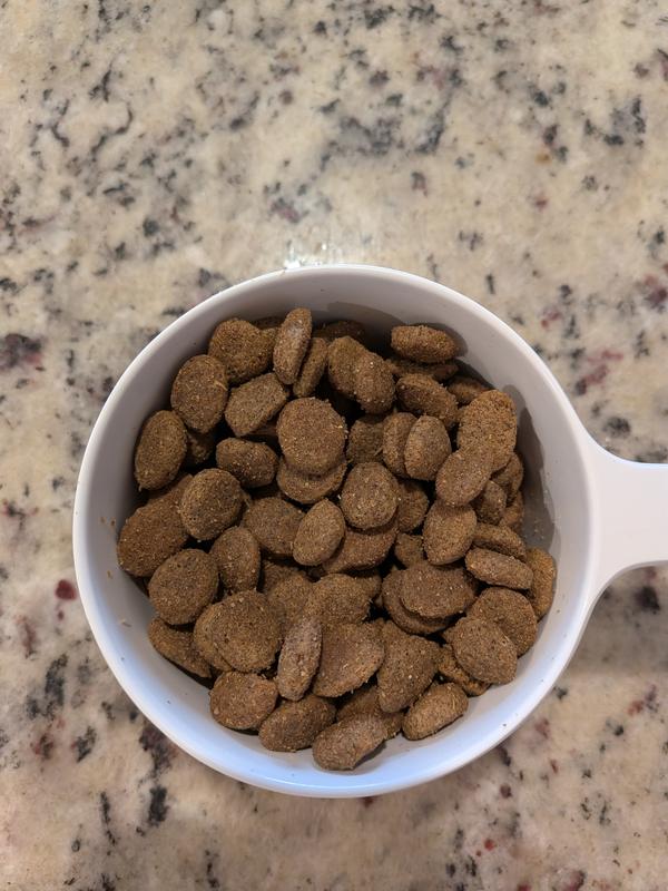 medium size kibble