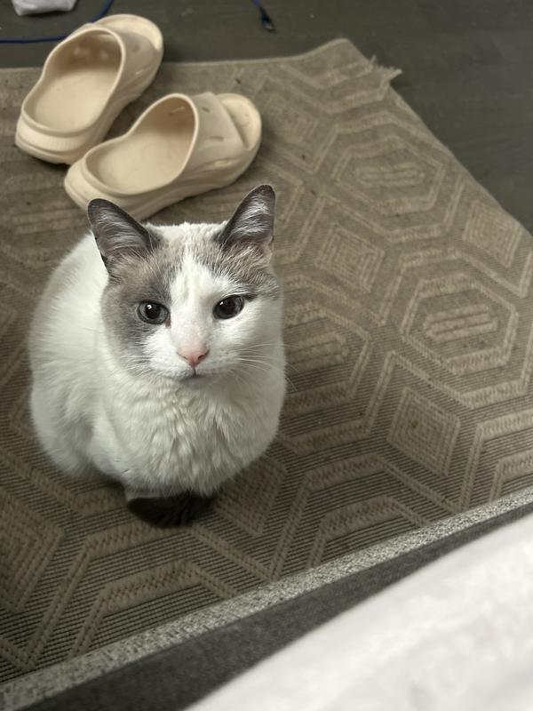 Larry the finicky old guy