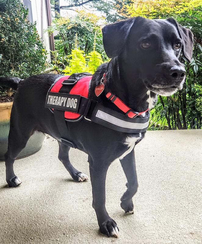 Making her hospital rounds!