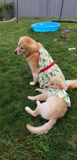 "That's not how we treat our clothes!" ~ Leilani, the Big Sister