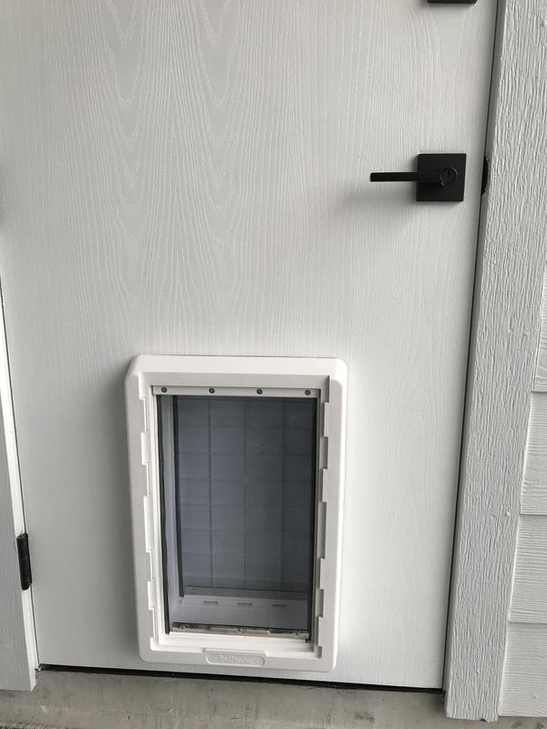 Strong and nice looking Pet door