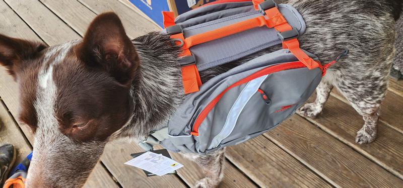 Mountainsmith dog outlet pack