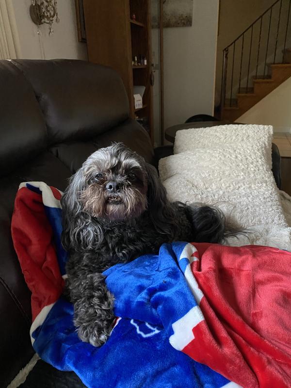 Waiting to watch the Bills!