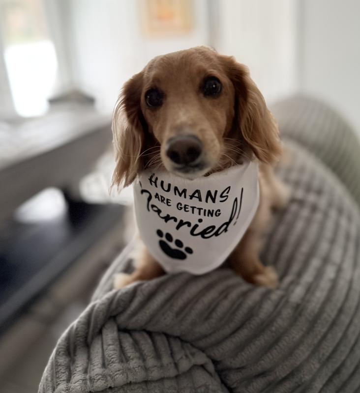 Cooper is such a good boy!