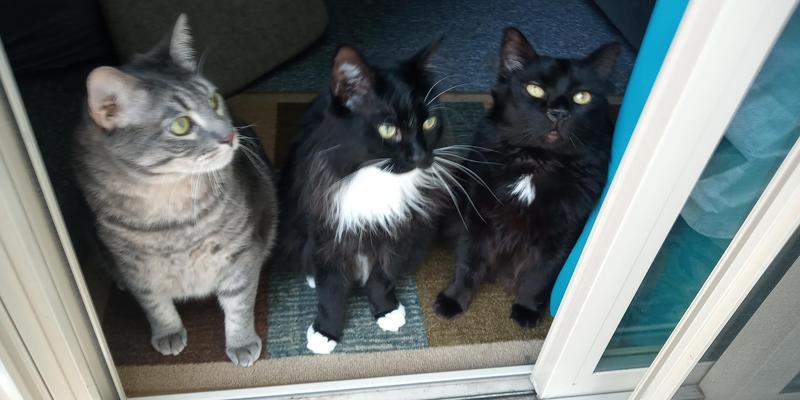 Waiting for delivery.