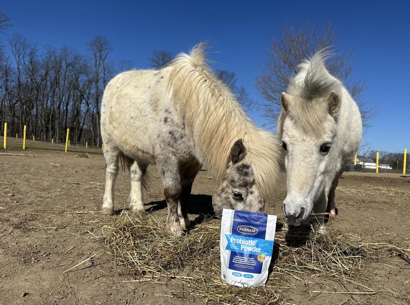 “There’s more”