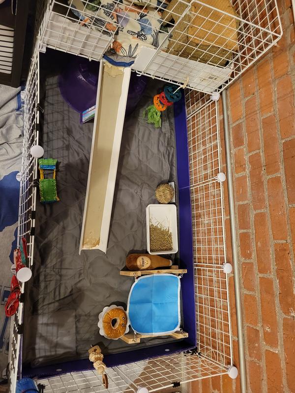 New gray liner in 4x2 cage