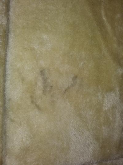 The stain is hard to see in the photo, but NOT hard to see in person.