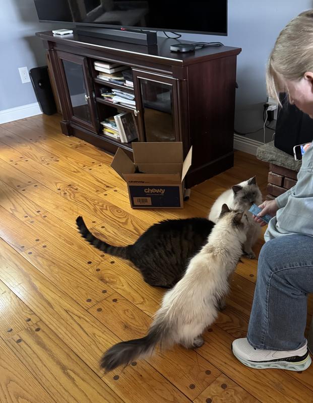 Chasey, Leon & Logan couldn’t get enough of these tasty treats!