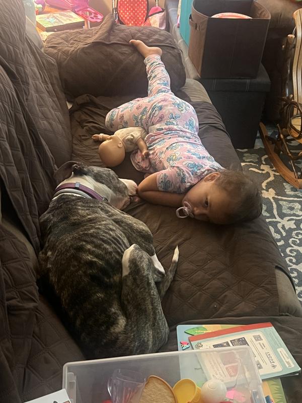 Also at lowest weight