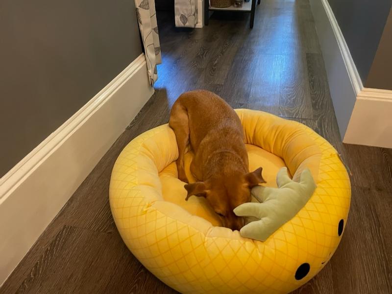 Squishmallow Pineapple Bed – The Fuzzy Paw