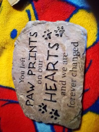 PAWPRINTS REMEMBERED Pet Memorial Stone with Picture Frame 