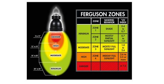 Ferguson Zones