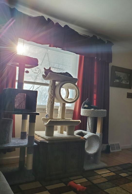 to playful