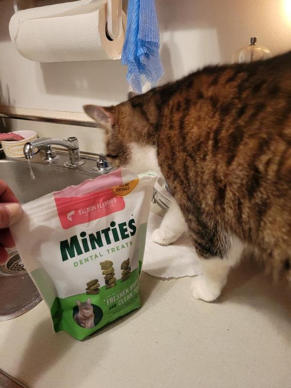 I WANT MY MINTIES!