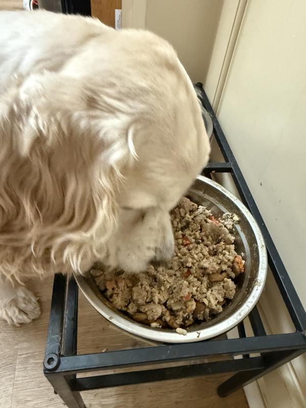 He looks forward to dinner time now!